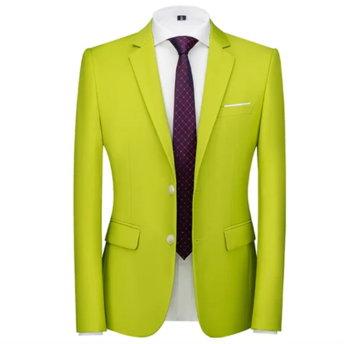 Slim Fit Blazer Multicolour