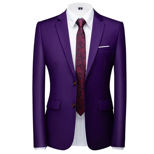 Slim Fit Blazer Multicolour