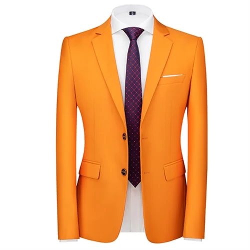 Slim Fit Blazer Multicolour