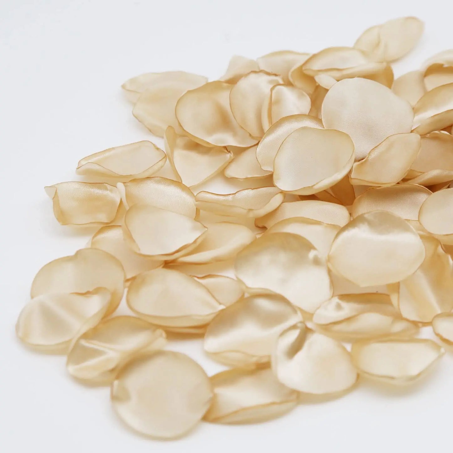300pcs Ivory Silk Rose Petals