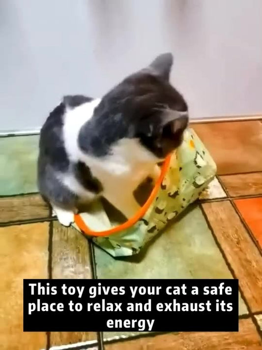 Crinkly Cat Tunnel With Toys