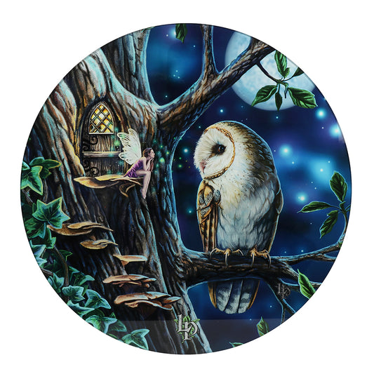 Glass Table Fairy Tales Owl by Lisa Parker